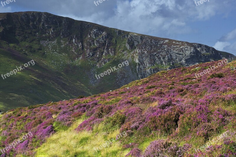 Ireland Countryside Eire Wild Landscape