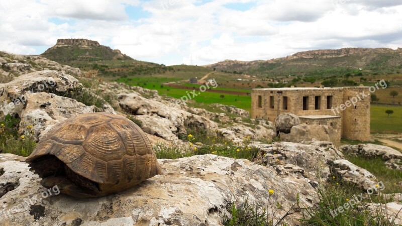 Izzet Pasha Outpost Date Ancient Architecture