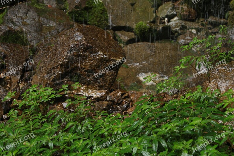 Wulong Stone Sinkhole Dripping Green Plants