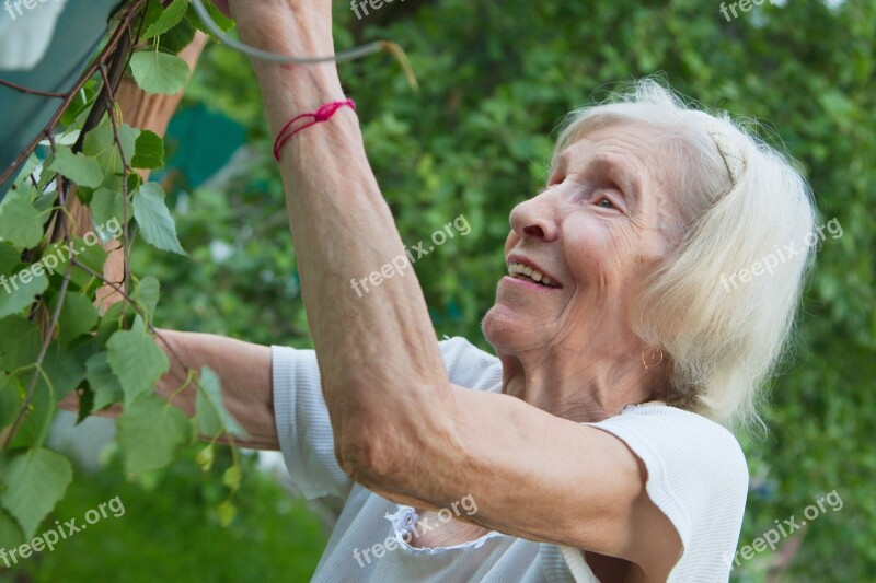 The Old Lady Grandma Garden Apple Tree Harvest