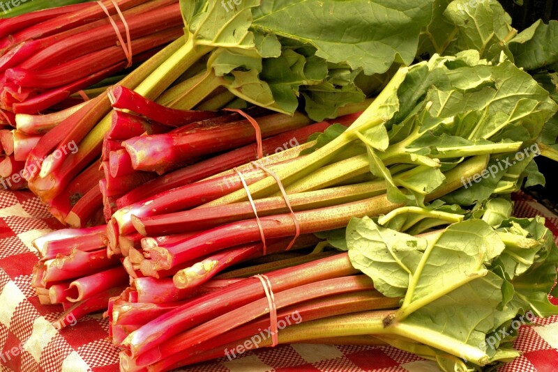 Market Fresh Rhubarb Vegetables Food Plant Harvest