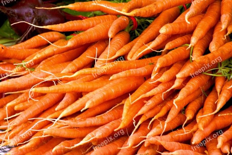 Colorful Carrots Carrots Vitamins Nutrition Vegetables