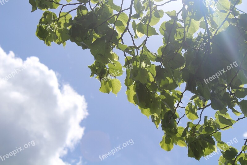 Sky Clouds Nature Atmosphere Fantasia