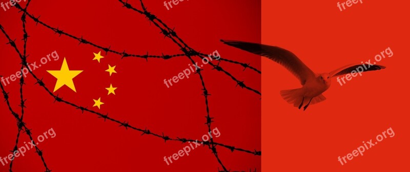 China Flag Barbed Wire Freedom Seagull