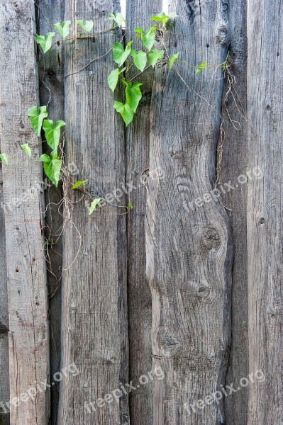 Fence Texture Old The Structure Of The Wood