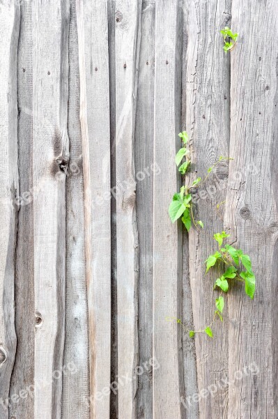 Fence Texture Old The Structure Of The Wood