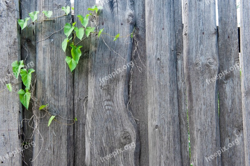 Fence Texture Old The Structure Of The Wood