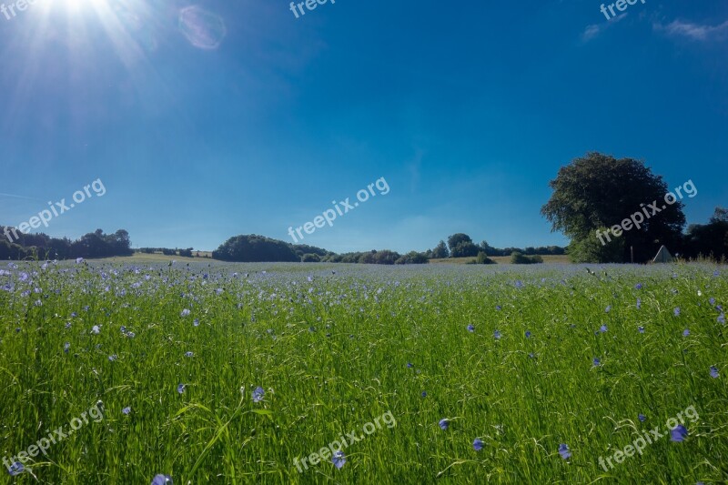 Fields Lin Normandy France Flower