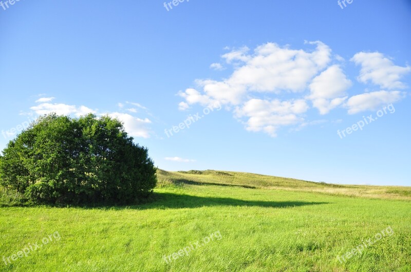 Nature Tree The Environment Scenery Meadows