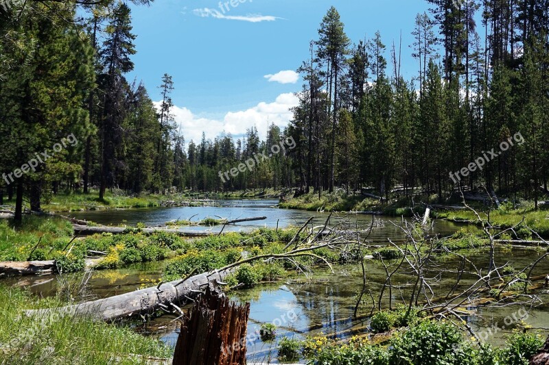 Fall River Oregon Central Oregon Landscape Water