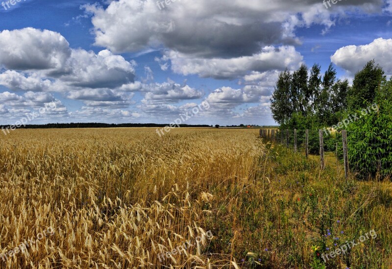 Corn Field Clouds Village Agriculture