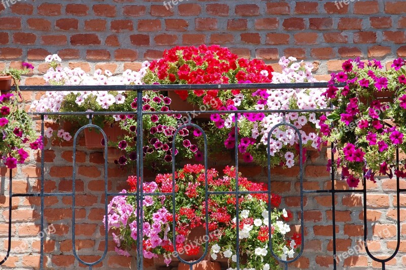 Flowered Balcony Bloom Summer Flower Vases Balcony