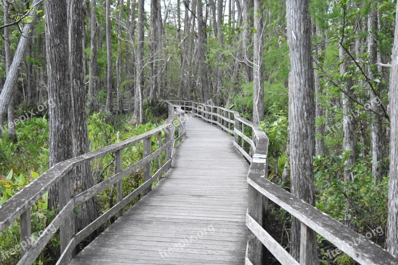 Bridge Lonely Nature Landscape Travel