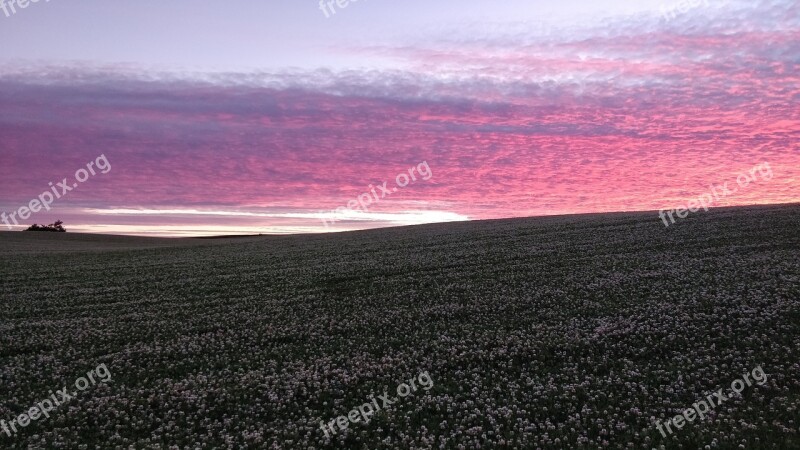 Sunset No Person Natural Sky Landscape