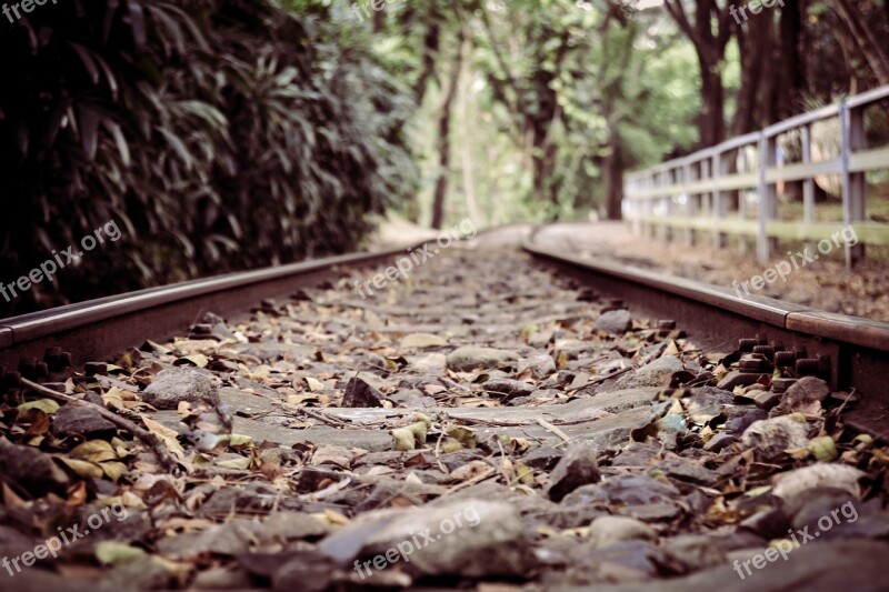 Railroad Road Rail Transportation Line