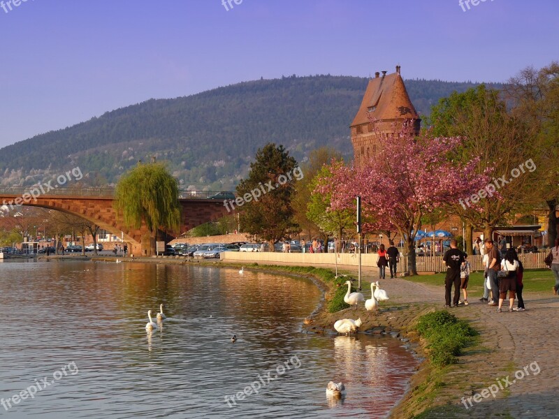 Main Promenade Bridge Zwillingstor Abendstimmung