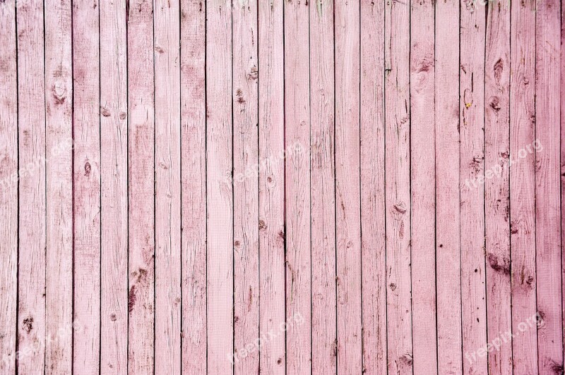 Pink The Old Board Background Texture Tree