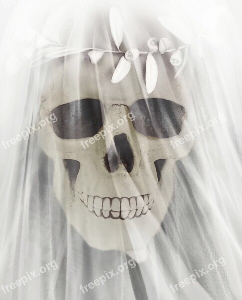 Bride Skull Skeleton Dead Thriller