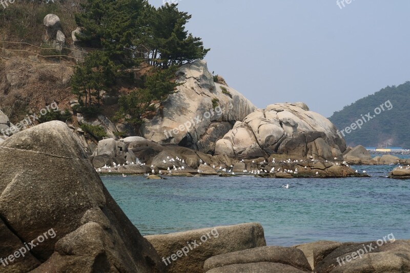 Break Hyuhyuam The Hermitage Rock The Beach Seagull