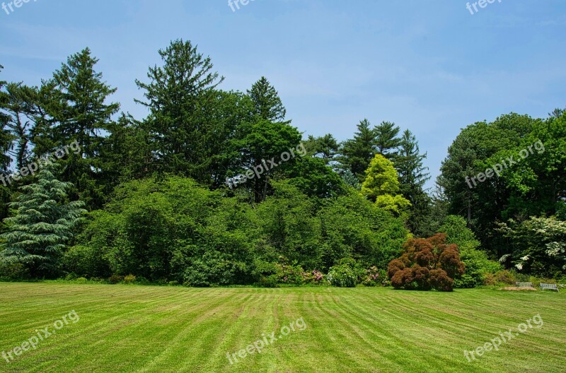 Trees Planting Fields Landscape Foliage Free Photos