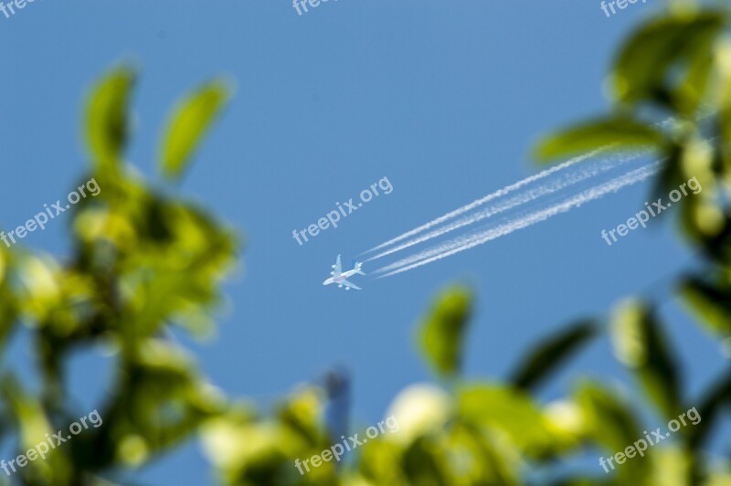 Flying Sky Blue Green Holidays