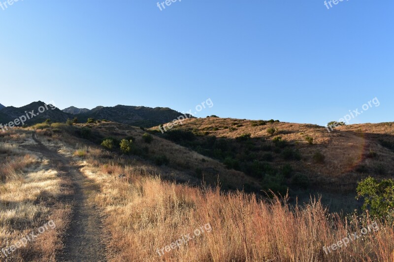 Field Nature Marbella Free Photos