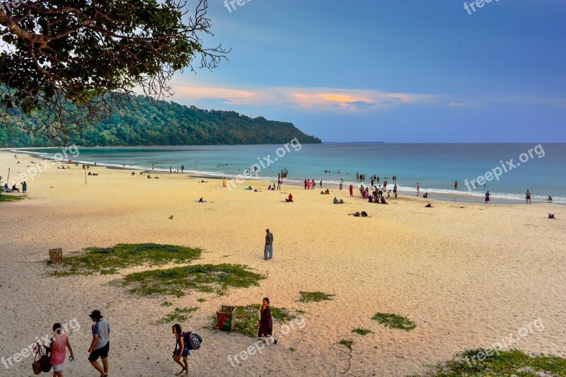 Beach Andaman Tourism Sea Nature