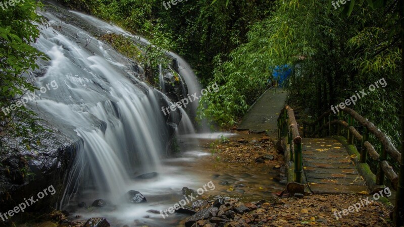 Nature Waterfall Landscape Water Trees