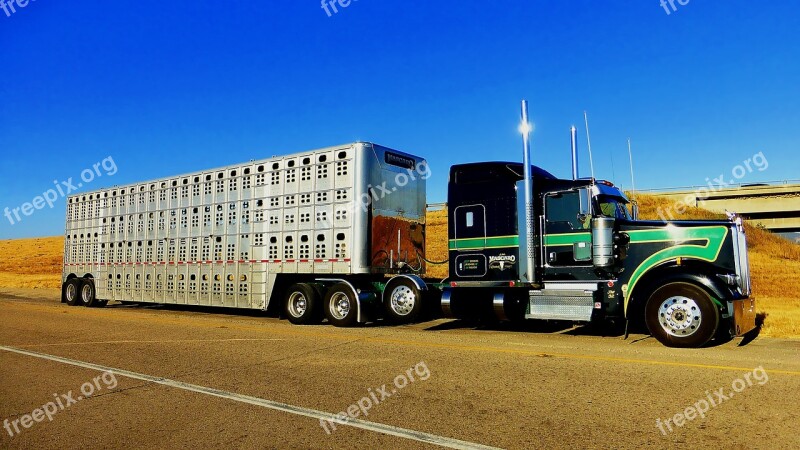 Truck America Trailer Cattle Rest