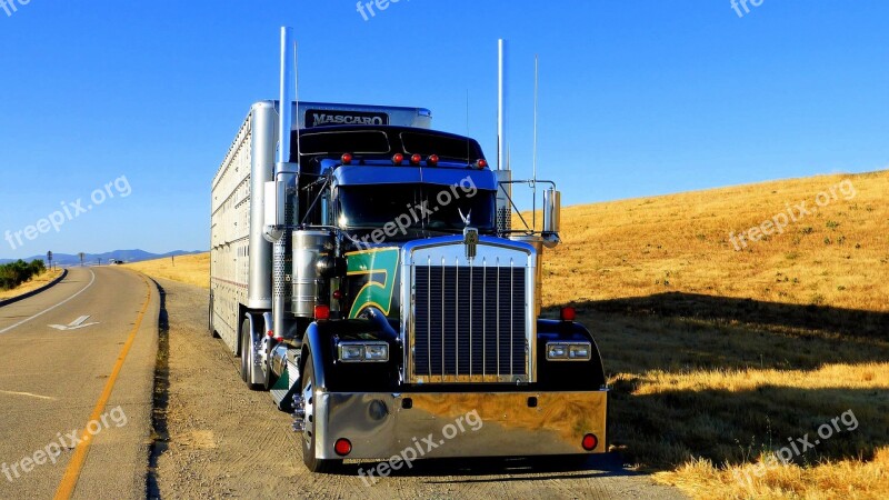 Truck America Transport Trailer Chrome