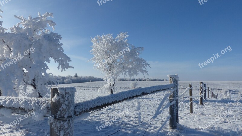 Hoarfrost Fence Snow Wintry Tree