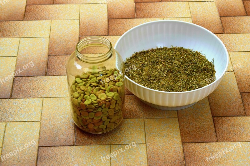 Chamomile Flower Nature Seads Herbs