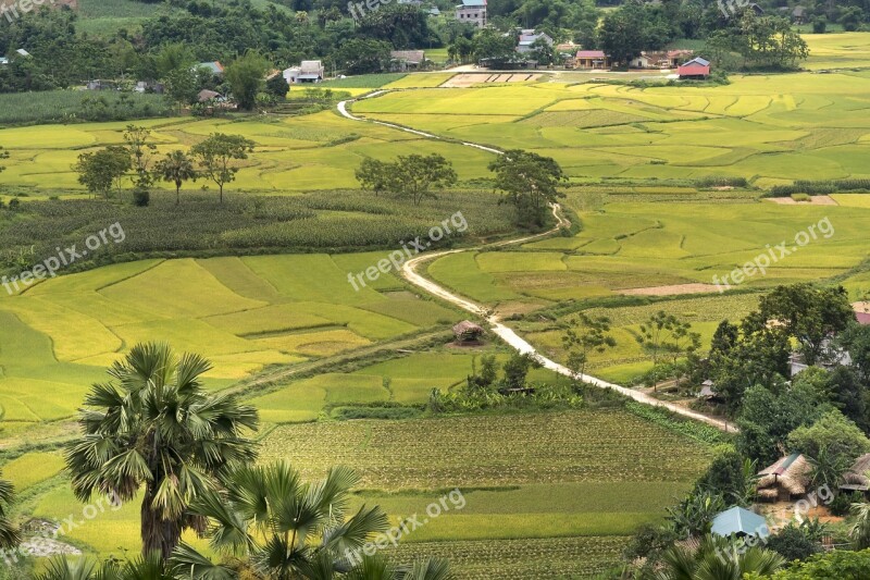 Thuong Lam Nice Forest Mountain Scenery