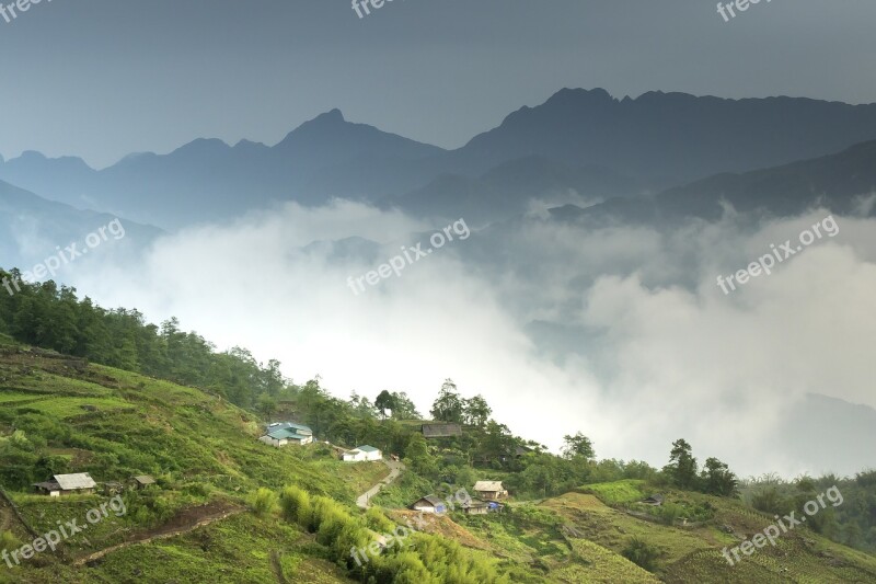 Vietnam Sapa Rice Field Step