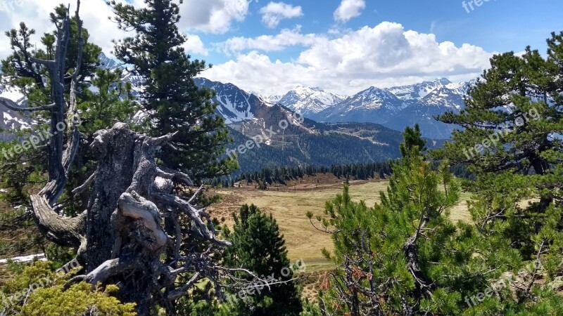 Mountain Wood Nature Landscape Tree