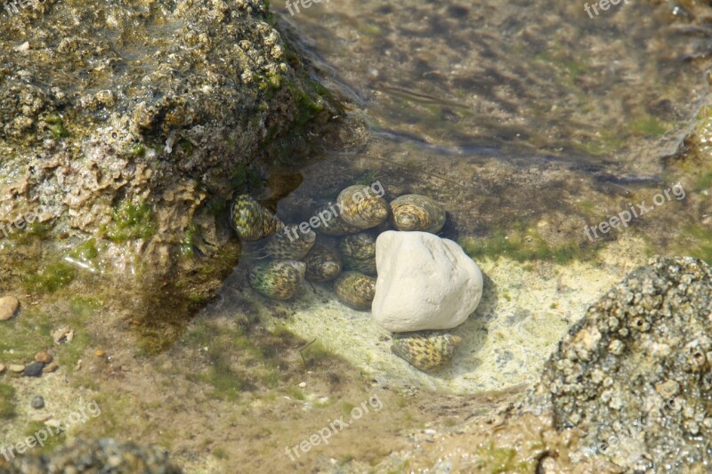 Seashore Haifa Israel Rock Water