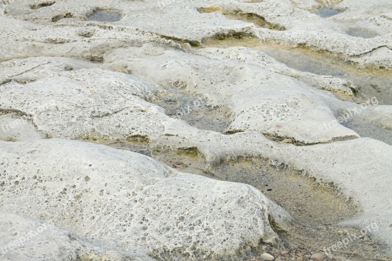 Seashore Haifa Israel Landscape Rock