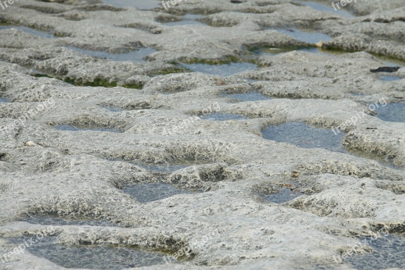 Sea Shore Haifa Israel Rock Water