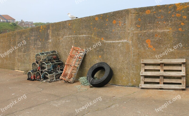 Harbour Wall Creel Lobster Pot Crab Cage