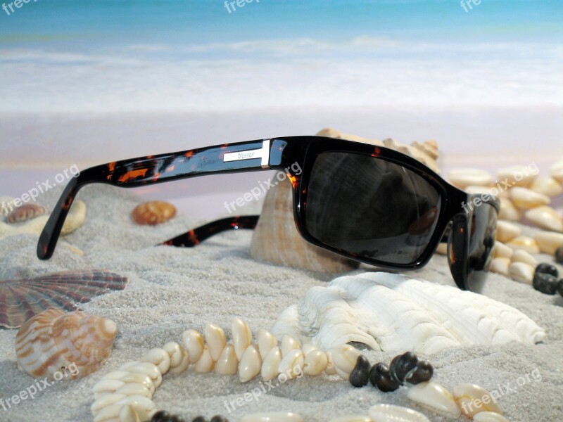 Glasses Beach Mussels Fashion Sea