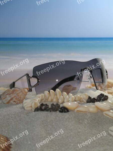 Glasses Beach Mussels Fashion Sea