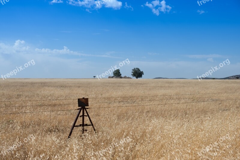 Wired Rusty Oxide Ruin Field