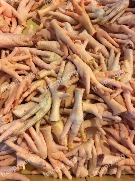 Chicken Feet Raw Fresh Food Ingredient