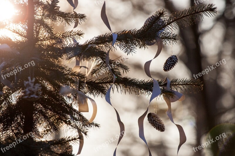 Ornament Christmas Ornamentation Shine Dec