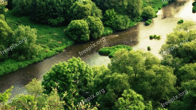 River Forest Tree Trees Meander