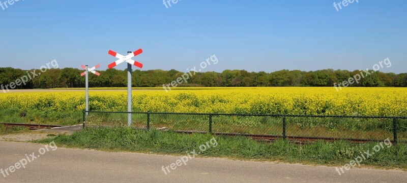 Rapeseed Field Railway Crossing Rapeseed Railway Nature