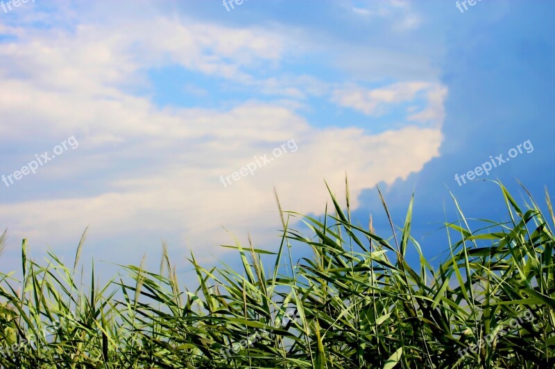 Reed Riverside Sky Cloud Storm