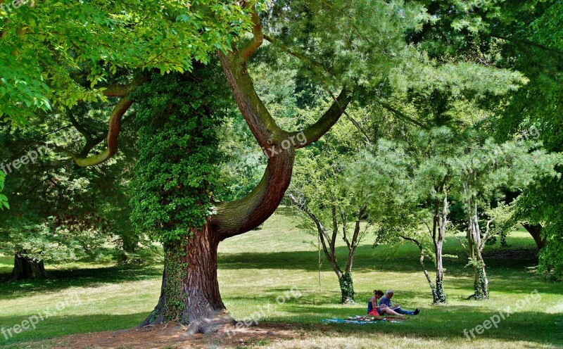 Park Garden Summer People On The Blanket Sitting