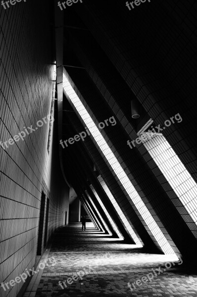 Architectural Design Architecture Black And White Building Modern Architecture