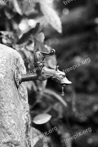 Faucet Old Well Water Dripping Water